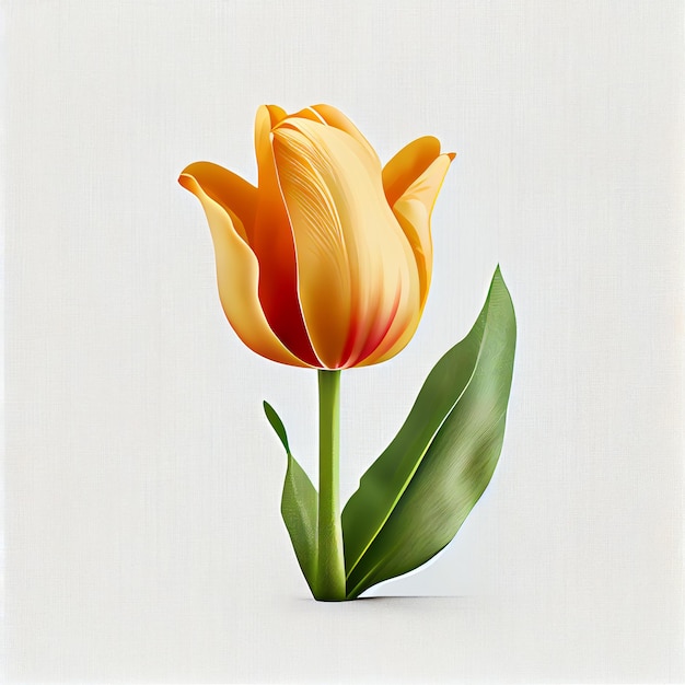 Clipart del fiore del tulipano