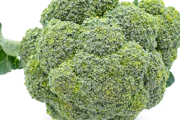 Close up broccoli su sfondo bianco.