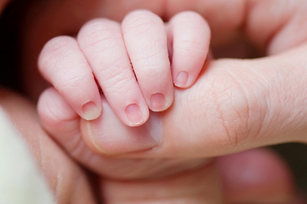 Close-up del bambino che tiene la mano della madre