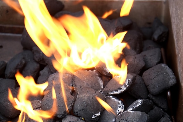Close-up del carbone che brucia in un falò