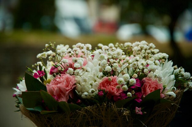 Close-up del matrimonio di una pianta a fiori rosa