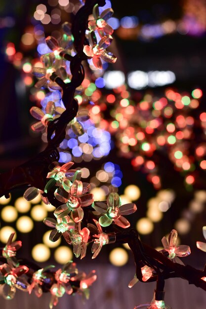 Close-up dell'albero di Natale illuminato di notte