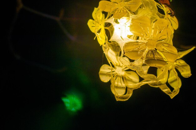 Close-up della decorazione floreale illuminata di notte