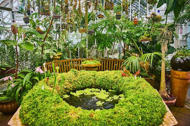 Close up della fontana d'acqua all'interno di un anello di muschio con piante appese e sfondo di serra