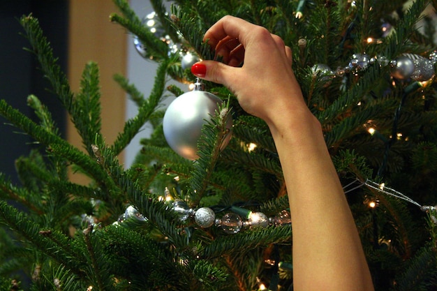 Close-up della mano di una donna che tiene l'albero di Natale a casa