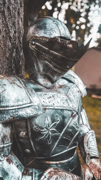 Close-up della statua sul tronco dell'albero