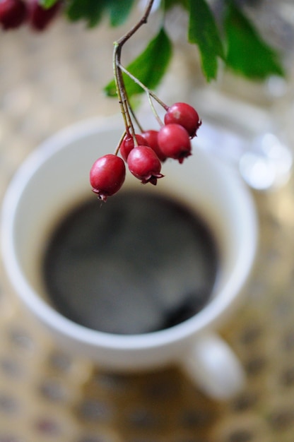 Close-up di bacche rosse sull'acqua