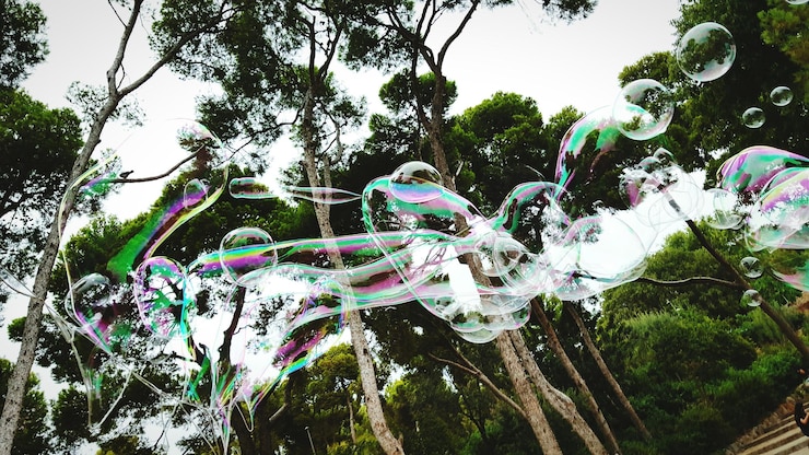 Foto close-up di bolle contro gli alberi
