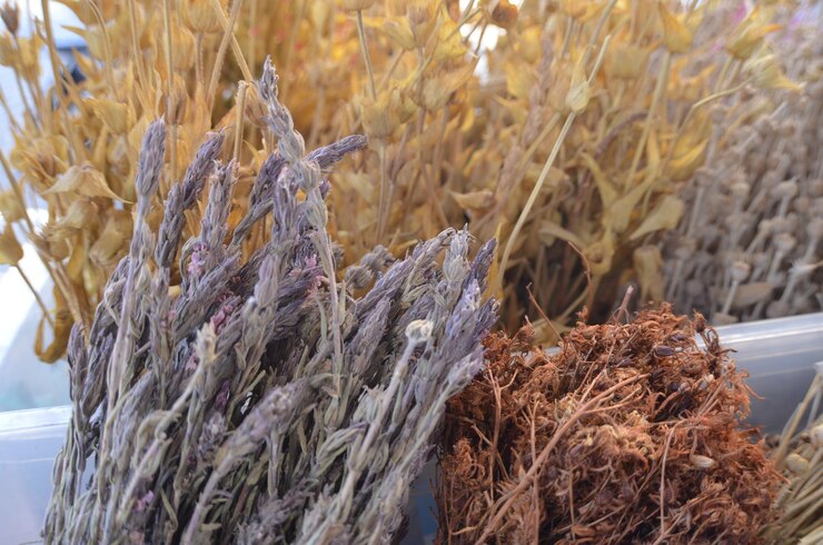 Foto close-up di colture medicinali invernali secche per la vendita sul mercato