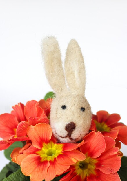 Close-up di coniglietto di peluche in mezzo a fiori su sfondo bianco