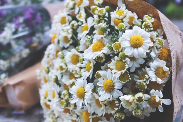 Close-up di fiori gialli