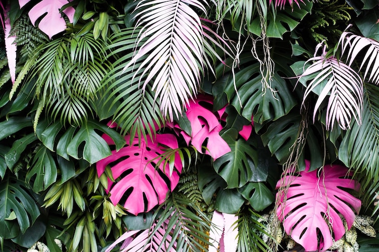 Foto close-up di fiori rosa sull'albero