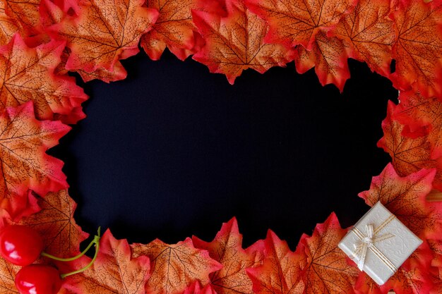 Close-up di foglie d'autunno su sfondo nero