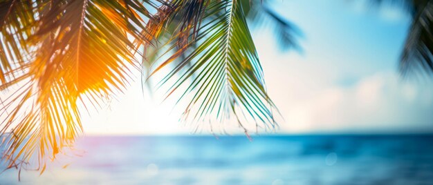 Close-up di foglie di palma su una spiaggia tropicale esotica con bokeh di luce solare Vista sull'oceano e sulla costa