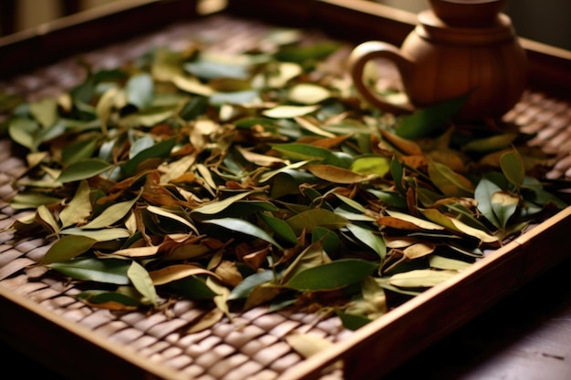 Close-up di foglie di tè appena raccolte su un vassoio di bambù creato con AI generativa