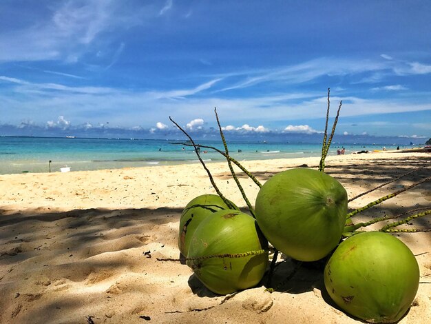 Close-up di frutta sulla spiaggia contro il cielo