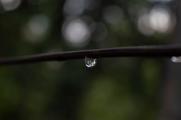 Close-up di gocce d'acqua sull'impianto