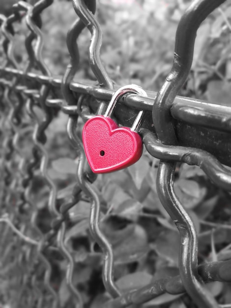 Close-up di lucchetti rossi a forma di cuore su una recinzione a catena