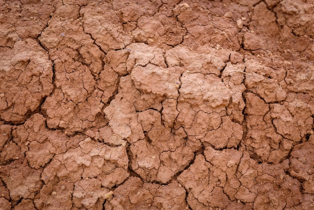 Close-up di marrone texture del suolo secco
