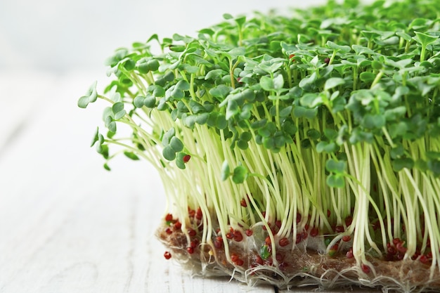 Close-up di microgreen broccoli che crescono su un lino mat