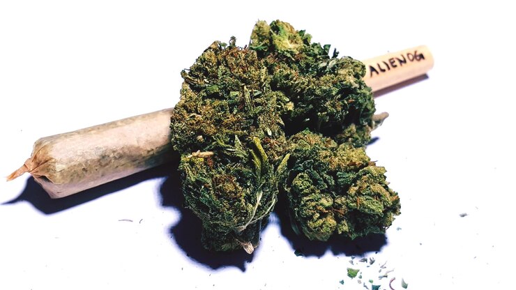Foto close-up di narcotici su sfondo bianco