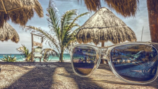 Close-up di occhiali da sole e palme sulla spiaggia