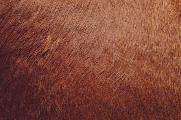 Close up di pelliccia marrone sfondo texture.