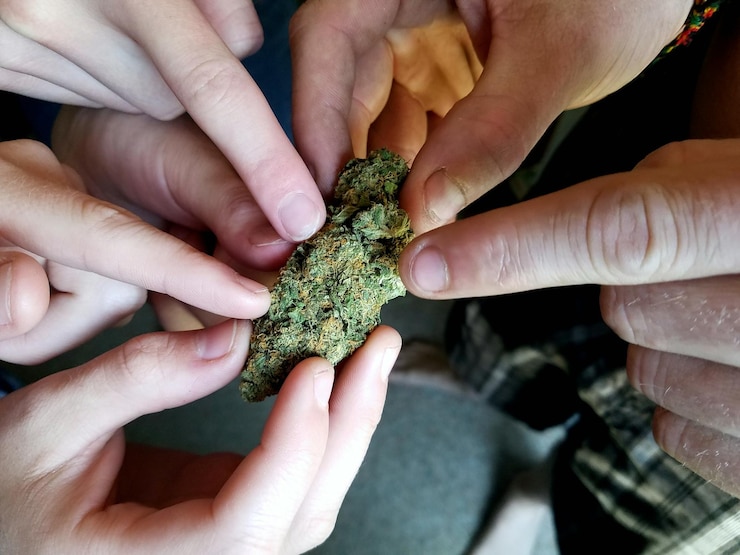 Foto close-up di persone che toccano la pianta di cannabis