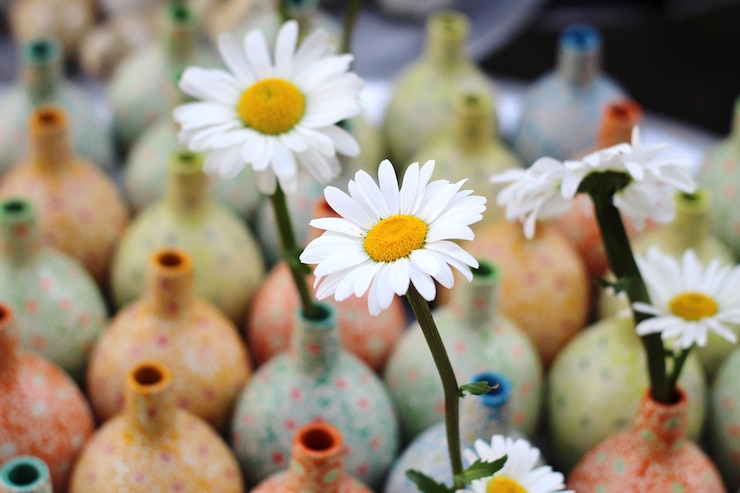 Foto close-up di piante a fiore bianco