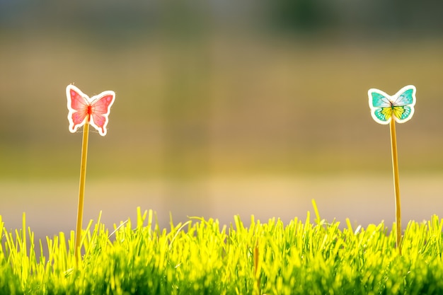 Close up di piccola erba verde con speciali giocattoli carini piccole farfalle. Concetto di belle piante con decorazioni.