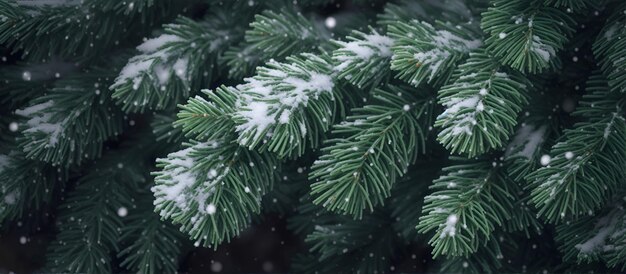 close-up di rami verdi di abete coperti di neve con fiocchi di neve che cadono sullo sfondo del Natale