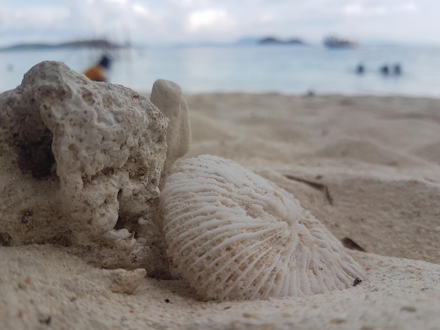 Close-up di rocce sulla spiaggia contro il cielo