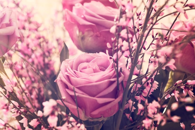 Close-up di rose rosa in fiore all'aperto