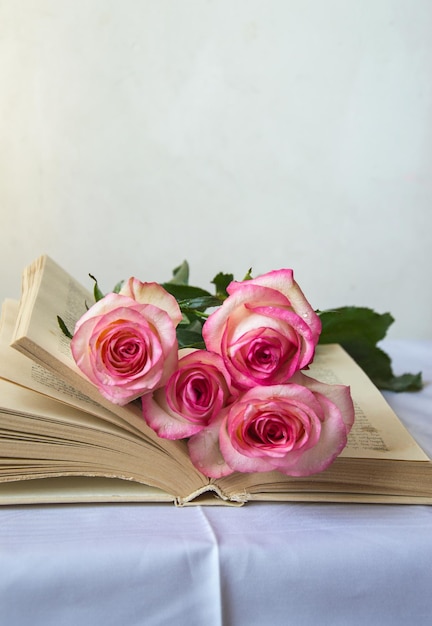 Close-up di rose rosa sul libro