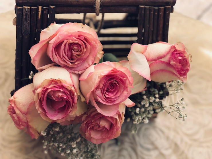 Foto close-up di rose rosa