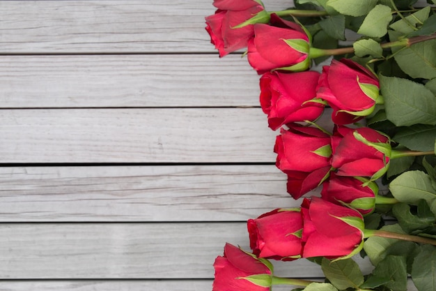 close up di rose rosse su sfondo bianco