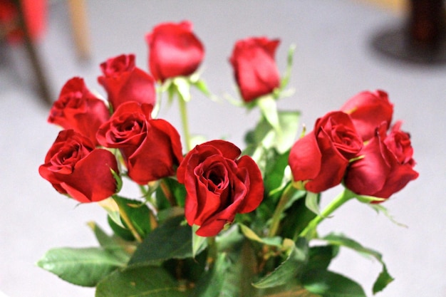 Close-up di rose rosse su tavola
