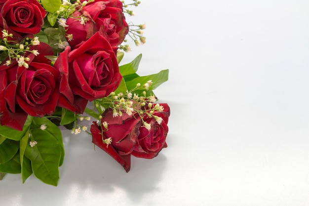 Close-up di rose rosse