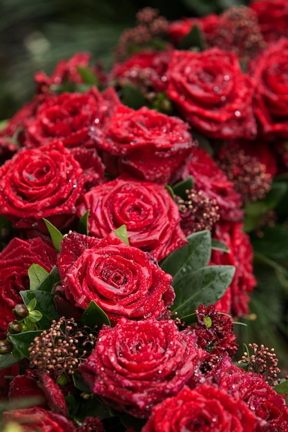 Close-up di rose rosse