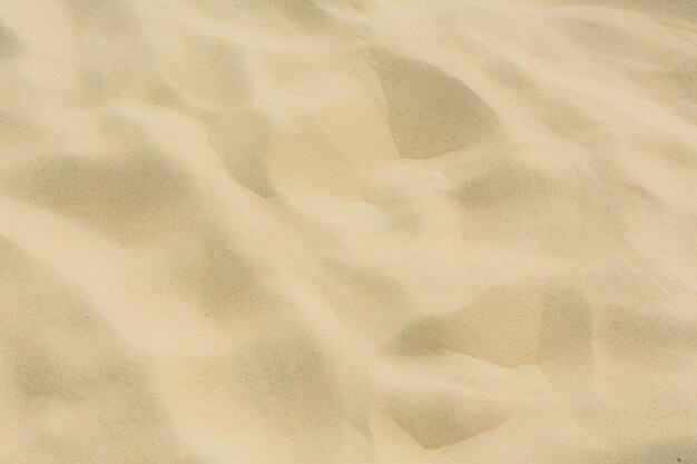 Close-up di sabbia sulla spiaggia come sfondo.