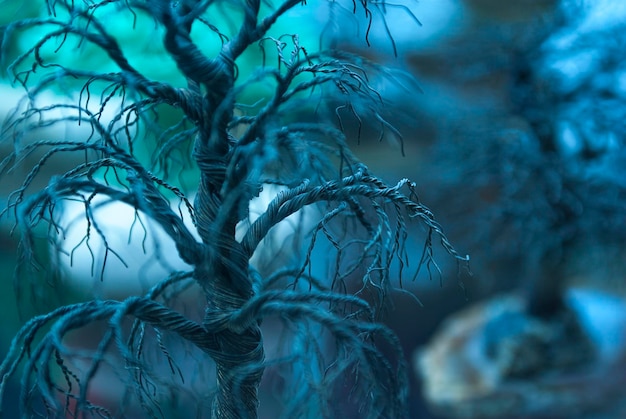 Close-up di un albero nudo nella foresta.