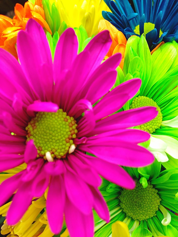 Foto close-up di un bouquet di fiori