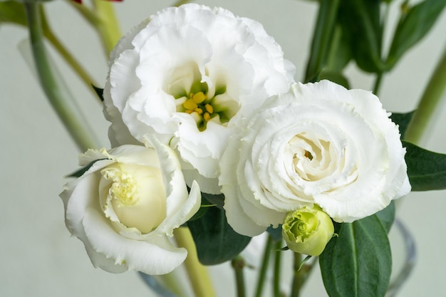 Close-up di un bouquet di rose bianche