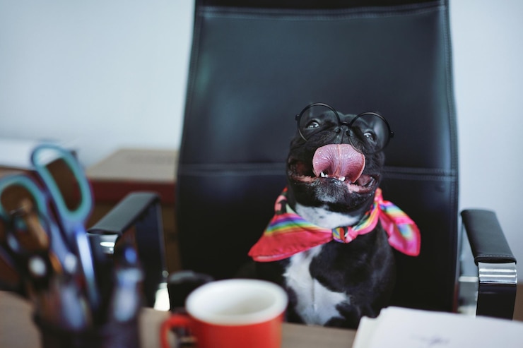 Foto close-up di un cane seduto su una sedia alla scrivania dell'ufficio