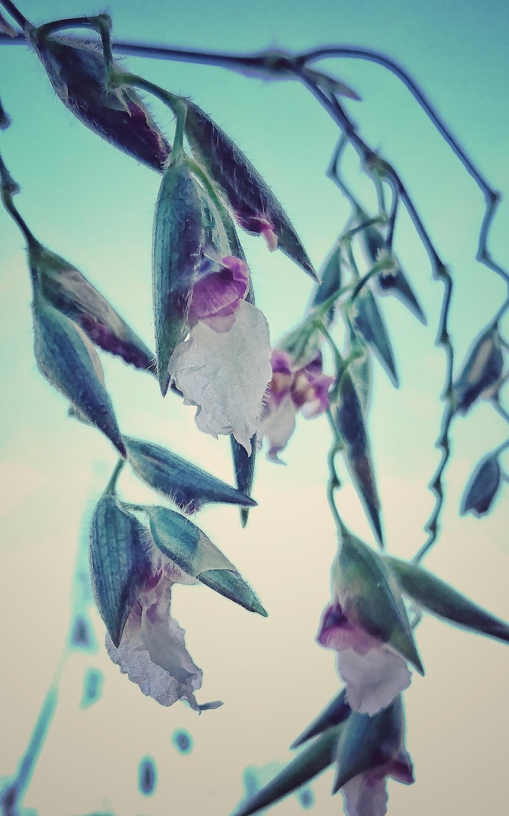 Foto close-up di un fiore che cresce su un albero