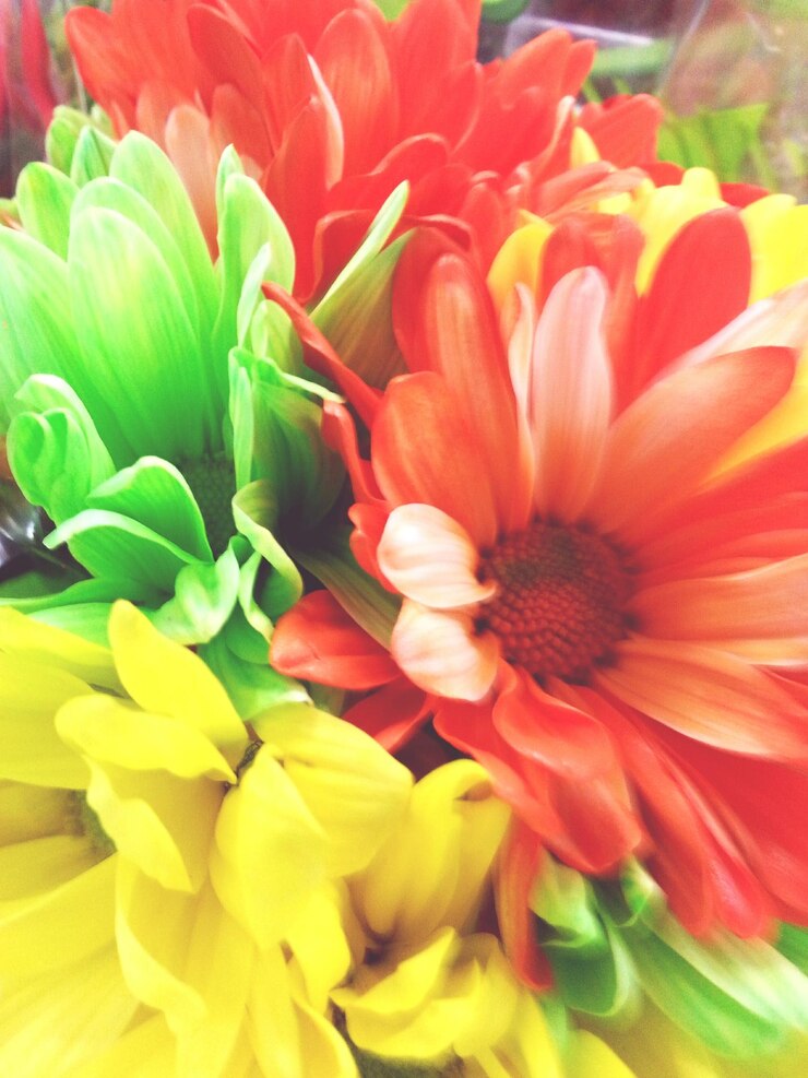 Foto close-up di un fiore giallo