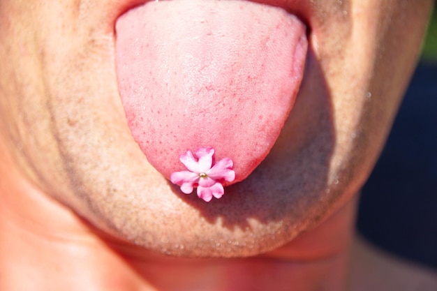 Close-up di un fiore rosa sulla lingua