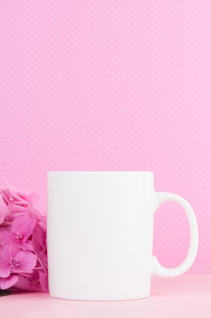 Close-up di un fiore rosa sullo sfondo bianco