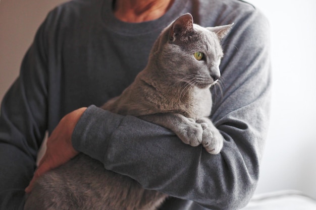 Close-up di un gatto sull'uomo