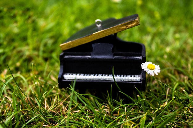 Close-up di un giocattolo da pianoforte sul campo